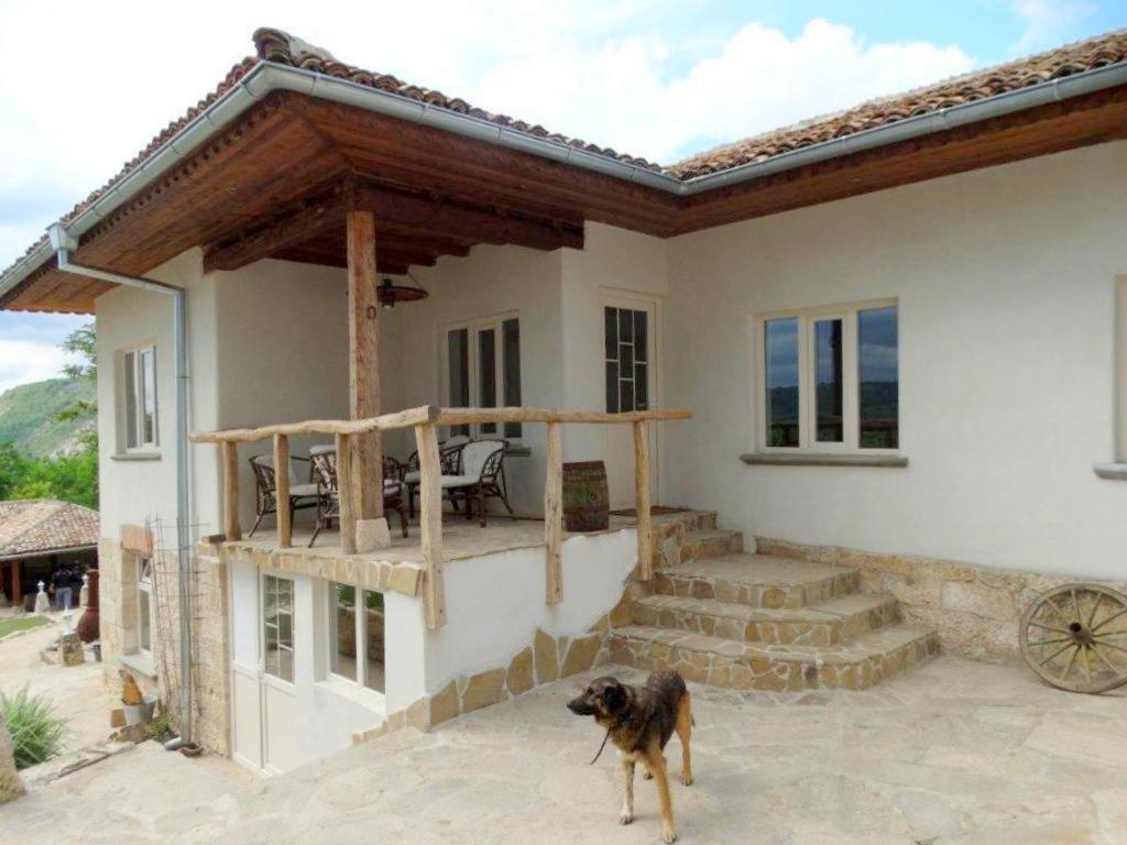 Guest House Biekorf Kostandenets Exterior foto